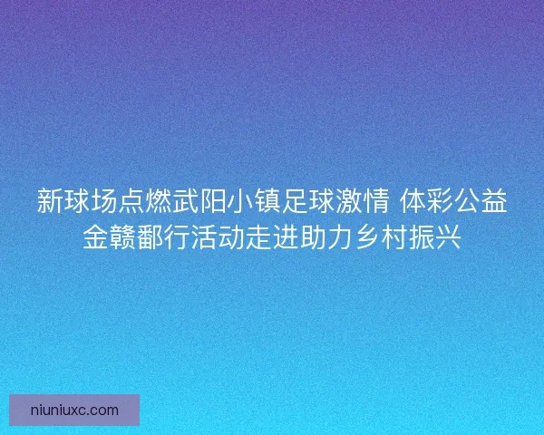 新球场点燃武阳小镇足球激情 体彩公益金赣鄱行活动走进助力乡村振兴