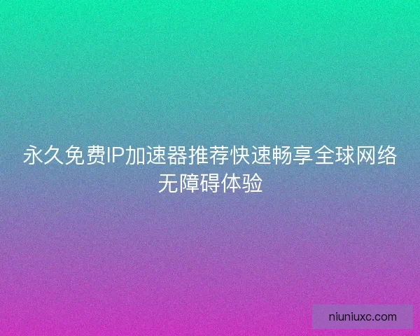 永久免费IP加速器推荐快速畅享全球网络无障碍体验