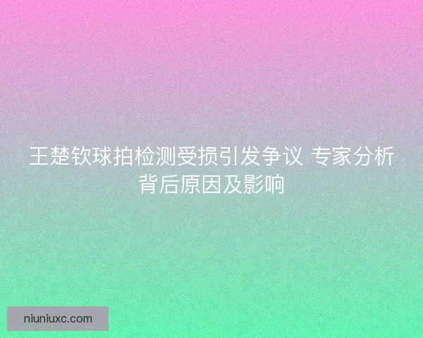 王楚钦球拍检测受损引发争议 专家分析背后原因及影响 王楚钦球拍检测受损引发争议 专家分析背后原因及影响