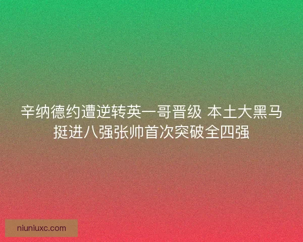 辛纳德约遭逆转英一哥晋级 本土大黑马挺进八强张帅首次突破全四强