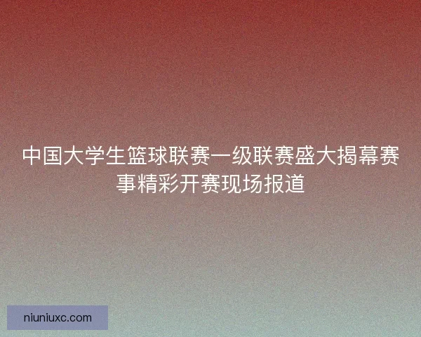 中国大学生篮球联赛一级联赛盛大揭幕赛事精彩开赛现场报道 中国大学生篮球联赛一级联赛盛大揭幕赛事精彩开赛现场报道