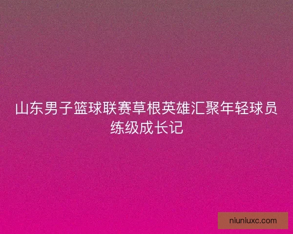 山东男子篮球联赛草根英雄汇聚年轻球员练级成长记